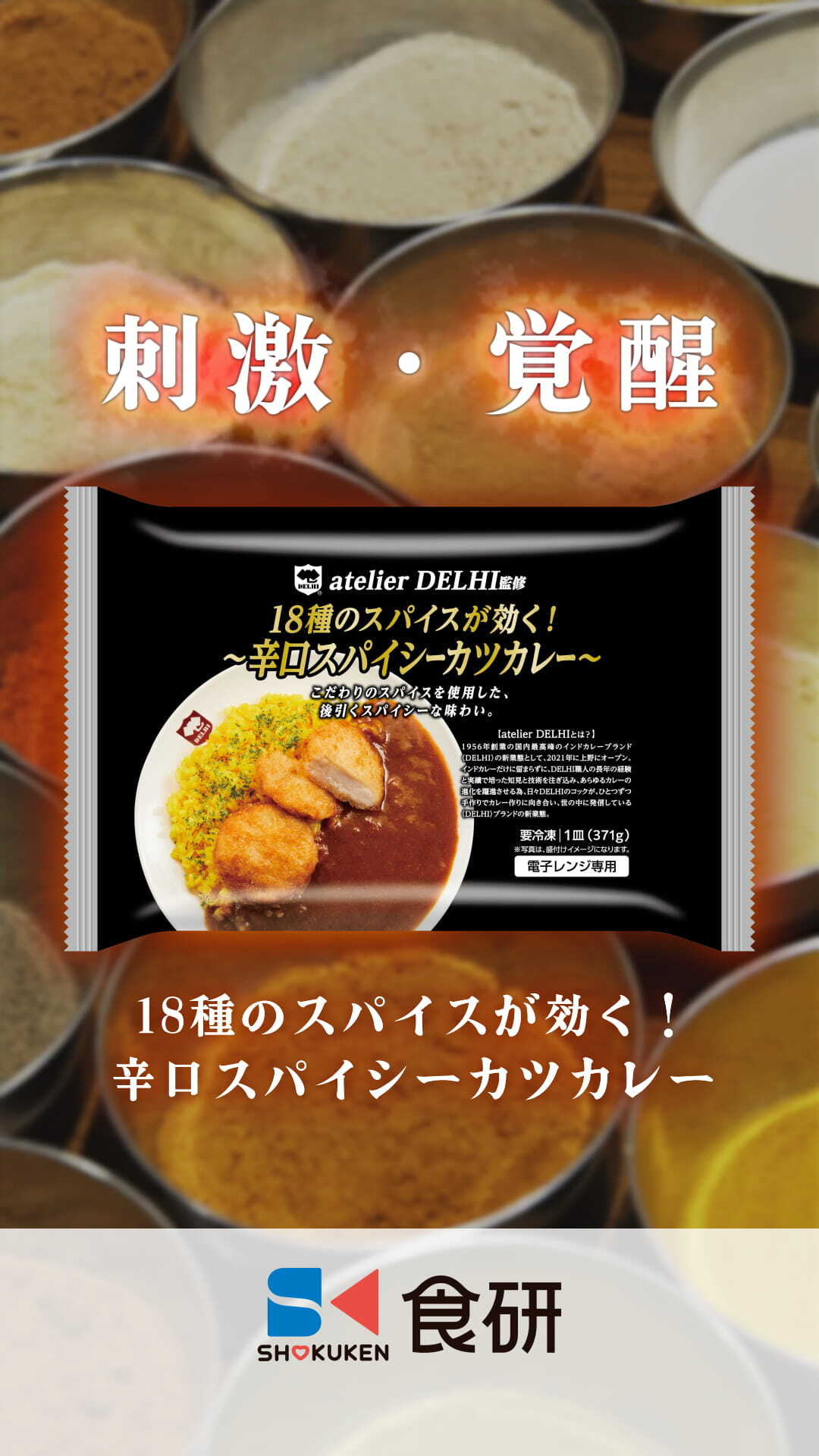 atelier DELHI監修】 王道欧風カツカレー＆辛口スパイシーカツカレー